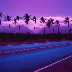 迈阿密Miami
