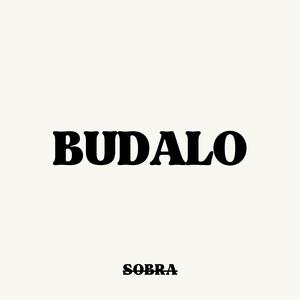 BUDALO