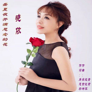 盛夏夜开满思念的花女伴 (伴奏)