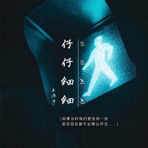 仔仔细细 (伴奏)