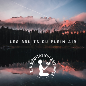 Détendez-vous au bord de l'étang