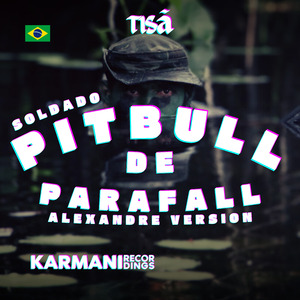 Pitbull de Parafall