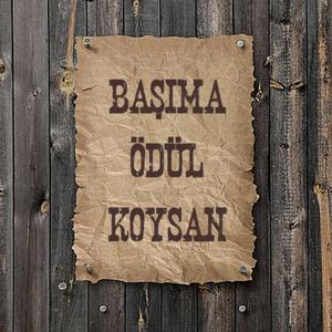 Başıma Ödül Koysan