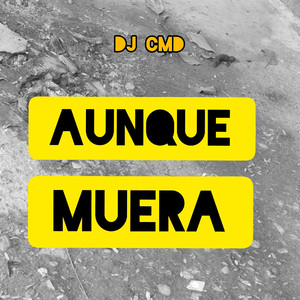 Aúnque No Te Vea