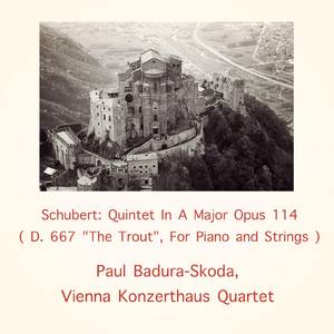 Quintet in A Major:IV. Tema con variazioni: Andantino