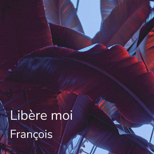 Libère moi