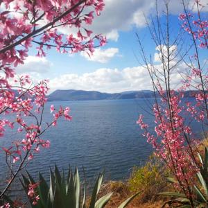 奇迹的山（片段）