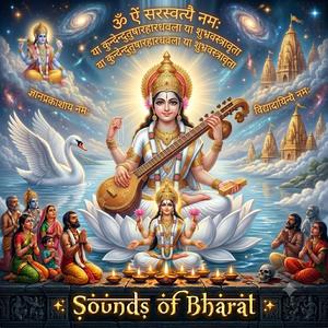 Saraswati Chalisa सरस्वती चालीसा