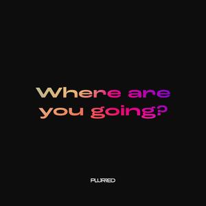 Where Are You Going (Extended Mix)