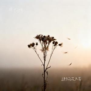 山野间花又落 (Cover 万海东)