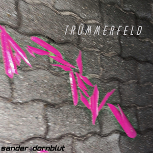 Trümmerfeld