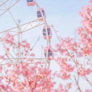 月下梨园的恋曲