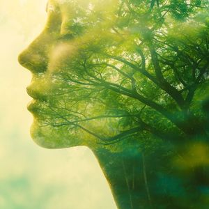 Rückkehr zum wahren Selbst