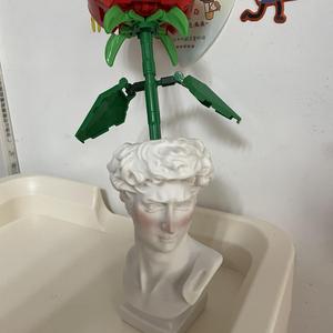 一颗不会开花的树