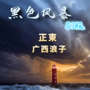 暴风一族（DJ-R7）