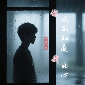 你从不知道我的心