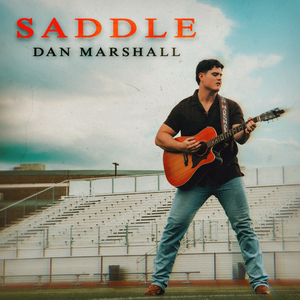 Saddle