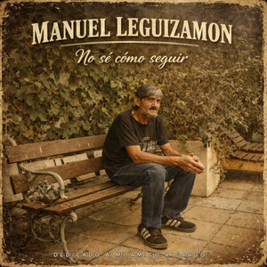 No Sé Cómo Seguir