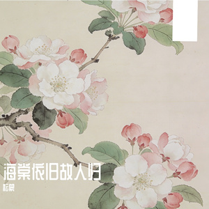 海棠依旧故人归