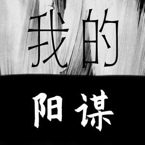 我的阳谋