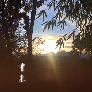 因此喜欢爱你每一天