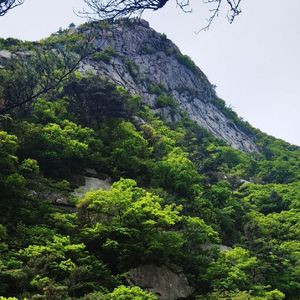 光会指引我向前 伴奏