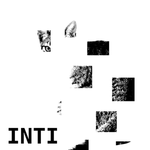 El Gato en la Caja II