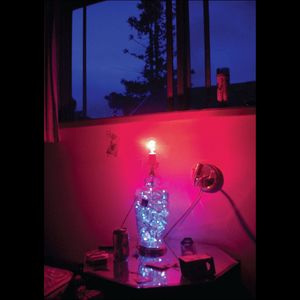 It Often Rains in Portland Oregon