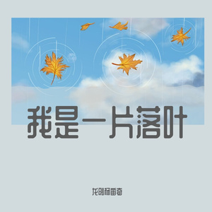 我是一片落叶
