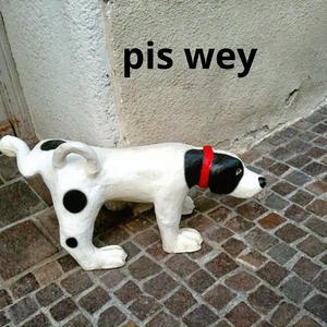 pis wey