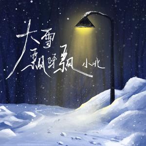 大雪飘呀飘（你看大雪飘呀飘 我的思念遥啊遥）