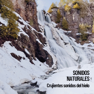 Arroyo atrapado bajo el hielo