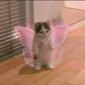 Think Think Think (sped up)