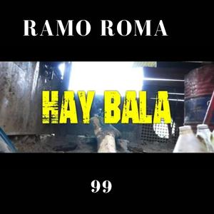 Hay Bala
