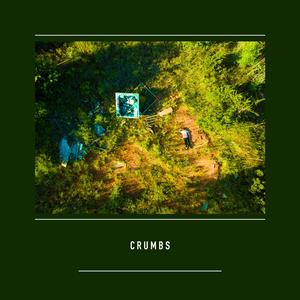 Crumbs (feat. Ian Underwater & Avitiuh)