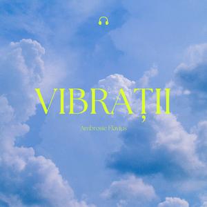 Vibrații (Remix)