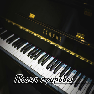 Легкость звука