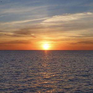 想见你想见你想见你