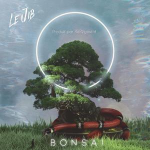 Bonsaï (4eRégiment)