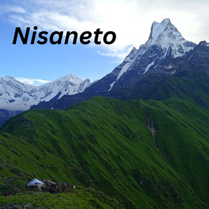 Nisaneto