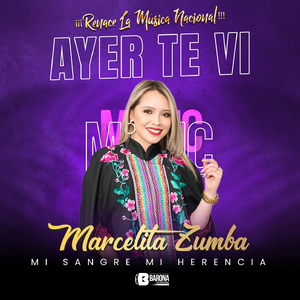 Ayer Te Vi (Mix Nacional La Fiesta de San Juan)