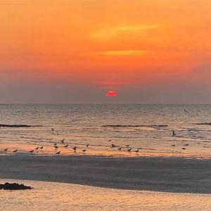 咚咚（纯音乐）