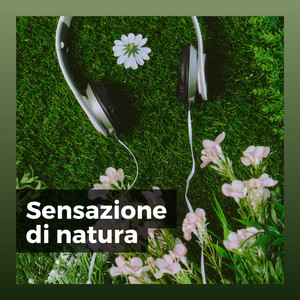 Sounds