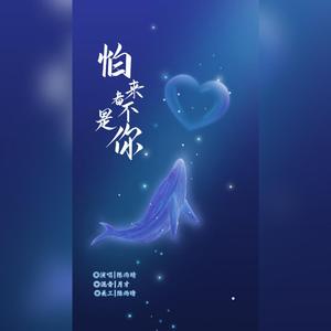 我怕来者不是你