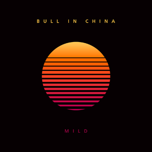 I Long 4 U (VIZO remix)