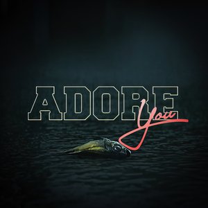Adore You