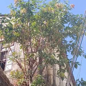 来自世界的恶意