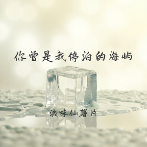 你曾是我停泊的海屿