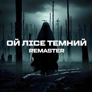 Ой лісе темний (Remaster)