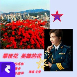 攀枝花，英雄的花